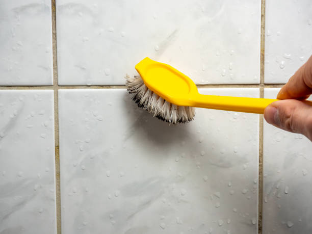 Best Residential Mold Remediation in Hurricane, WV