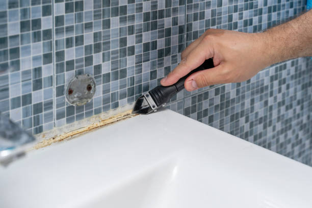 Best Emergency Mold Remediation in Hurricane, WV