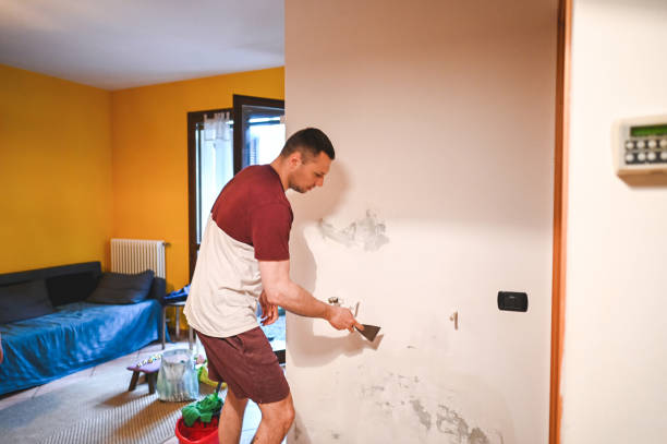 Best Post-Flood Mold Remediation in Hurricane, WV